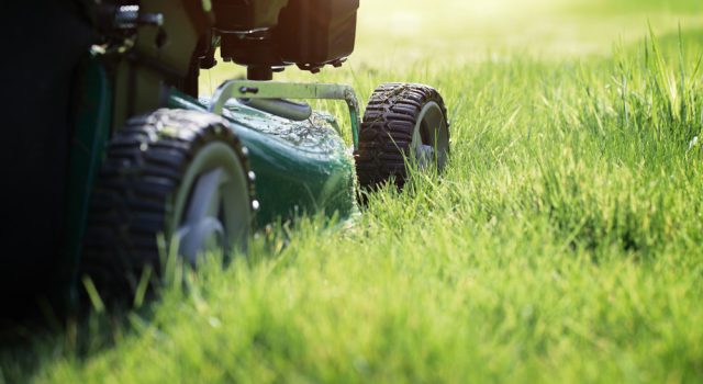 optimal-gebaeudemanagement-gruenanlagenservice-bild-1